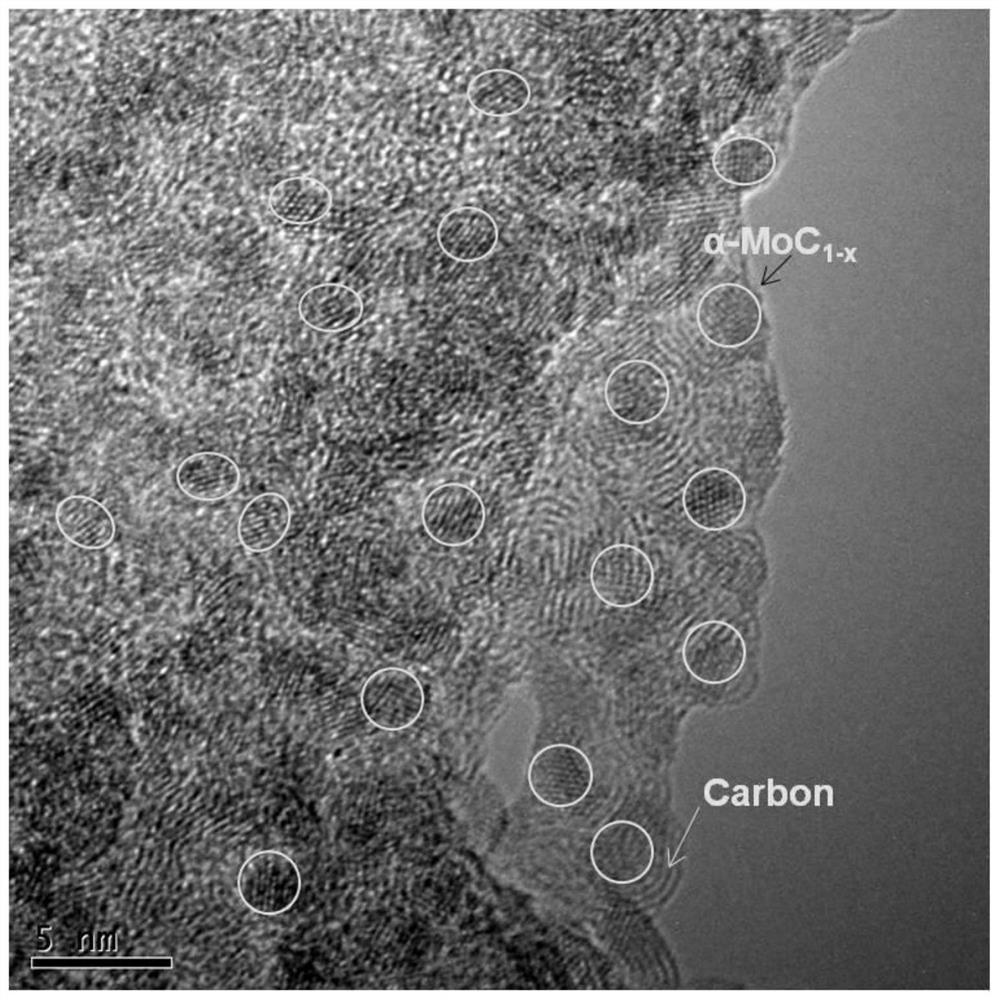 一种具有高效光热转换特性的三维花束结构α-碳化钼@碳的
制备方法