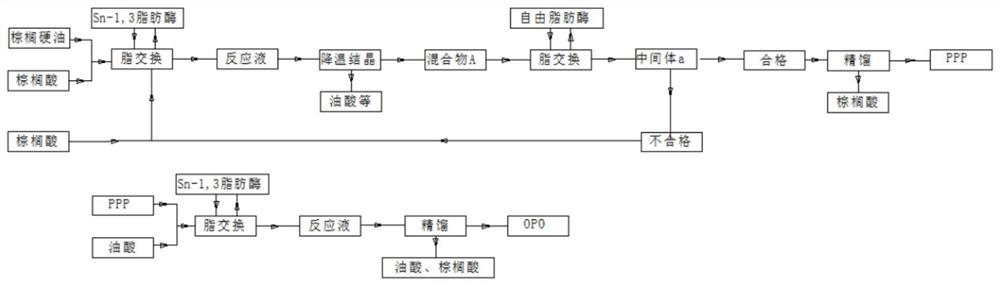 一种1，3-二油酸-2-棕榈酸甘油三酯的生产方法