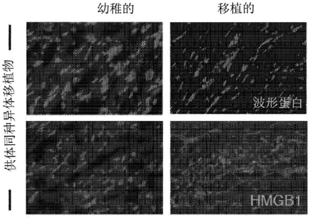 通过治疗性纳米生物制剂组合物抑制驯化免疫