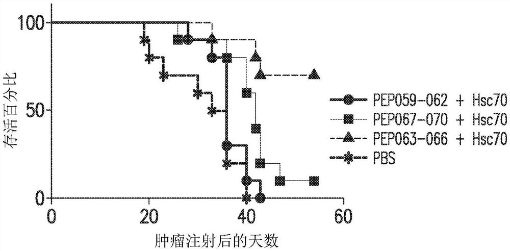 热休克蛋白结合肽组合物及其使用方法