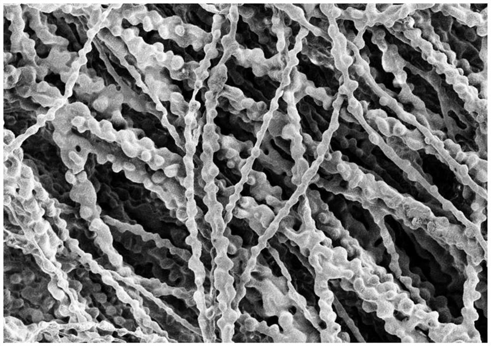 一种表面微球结构的聚四氟乙烯纤维的制备方法