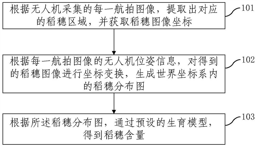 基于无人机的稻穗检测方法及装置