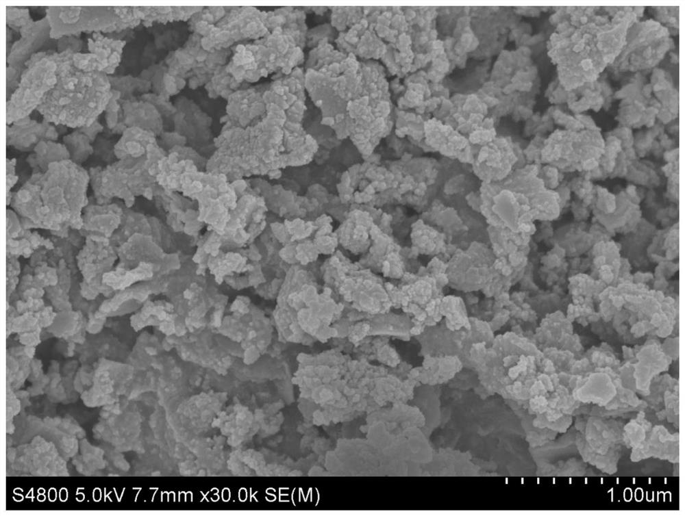 MIL-100(Fe/Co)衍生磁性复合材料催化降解水中氯霉素的方
法及应用
