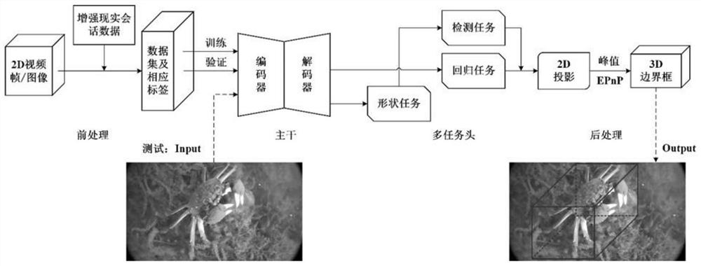 一种移动式面向2D图像的3D河蟹实时检测方法