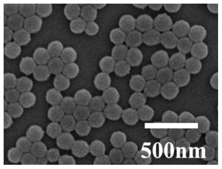 一种抗氧化聚天然多酚纳米材料的制备方法及其应用