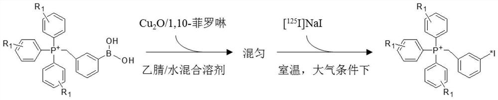 放射性碘标记的三苯基膦类衍生物、其制备方法及应用