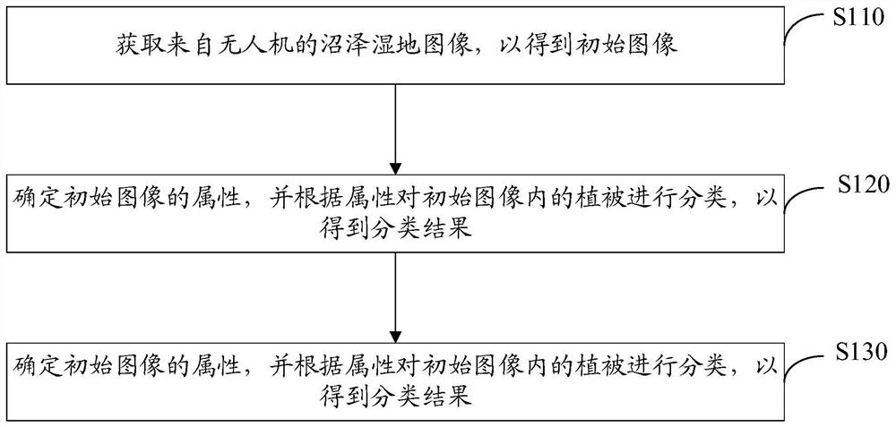 沼泽湿地植被分类方法、装置、计算机设备及存储介质