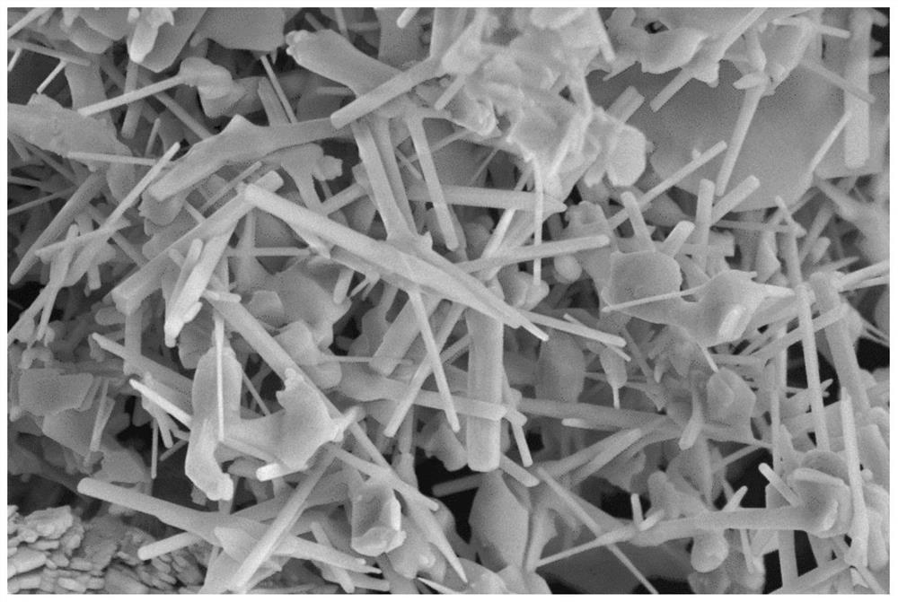 硼酸盐纳米材料及其制备方法与应用