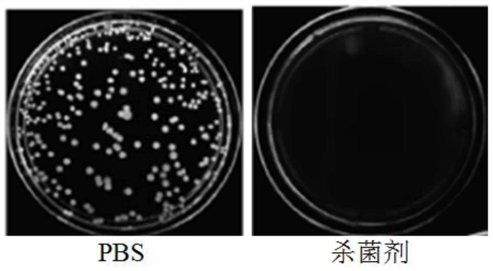 杀菌剂及其制备方法和应用