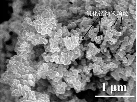 一种掺杂氧化钇纳米颗粒的纳米钼粉制备方法及应用