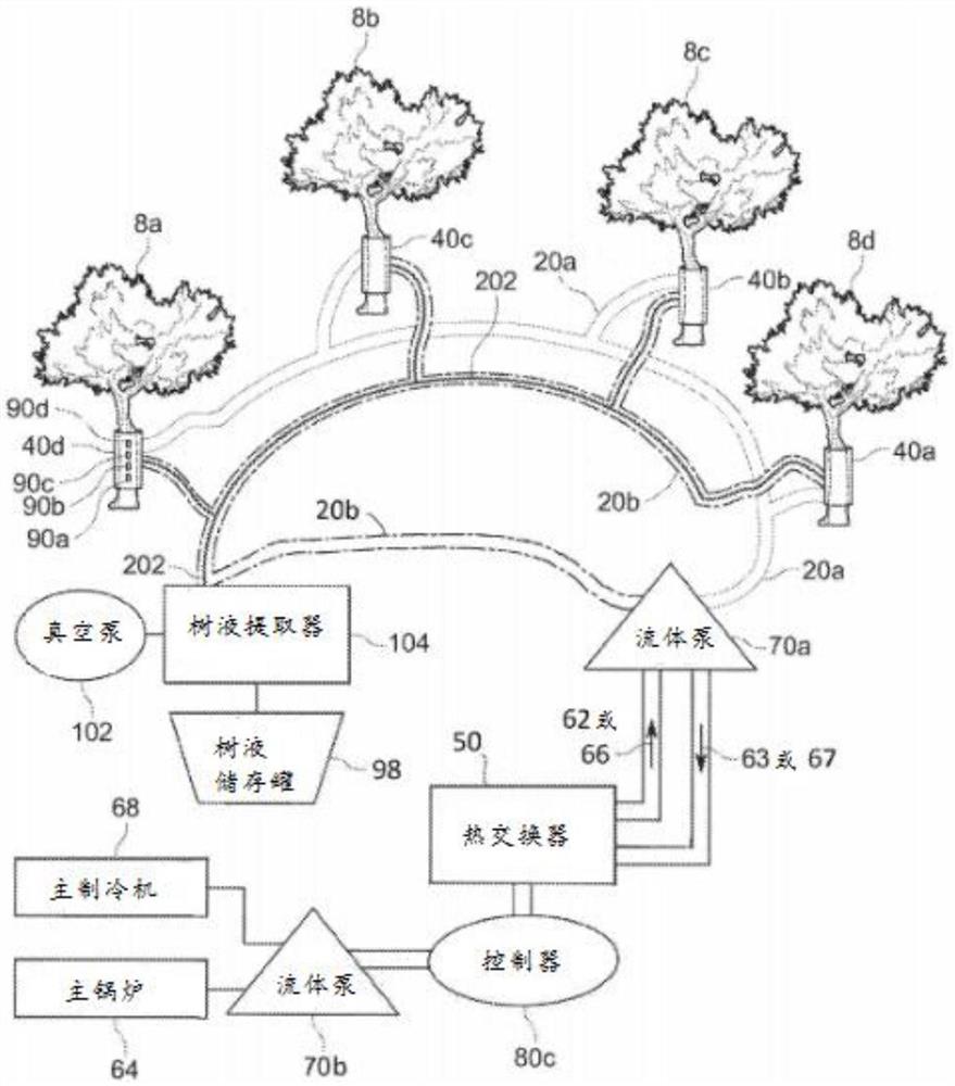 刺激树液从树木中主动流出的方法