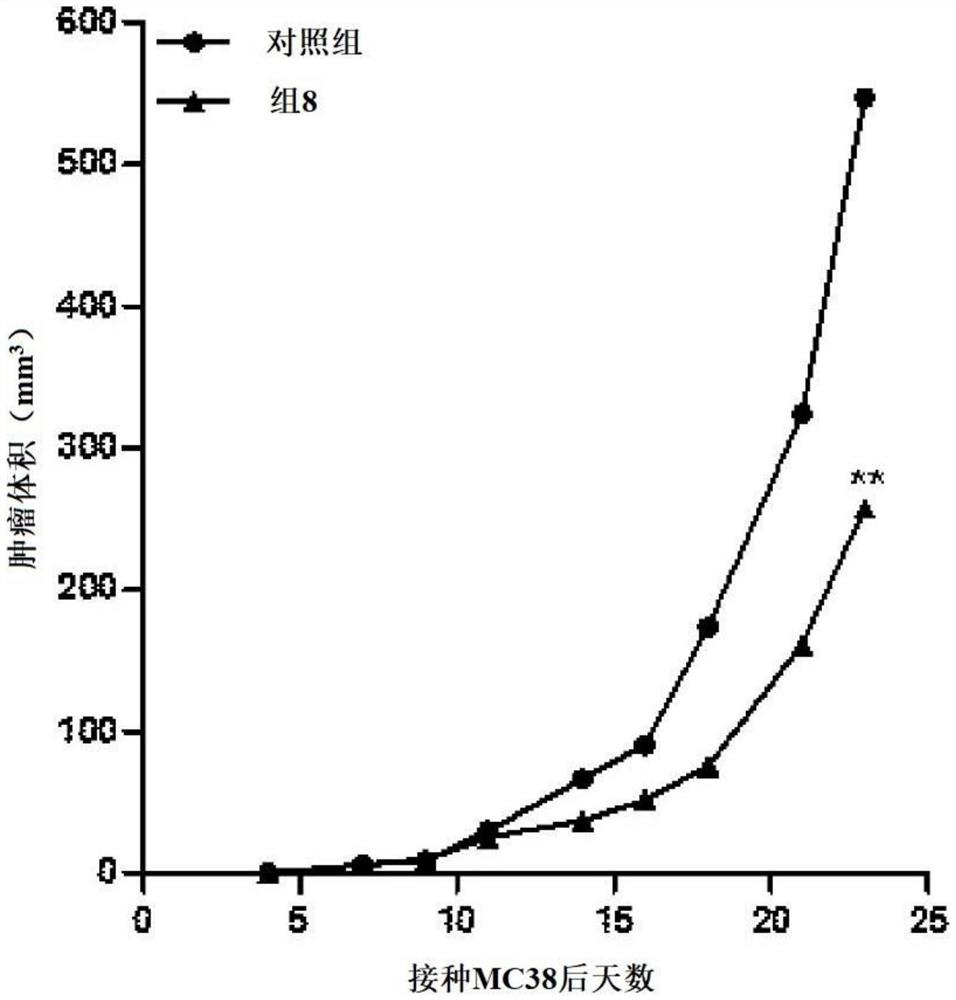 抗癌和免疫增强的新靶点