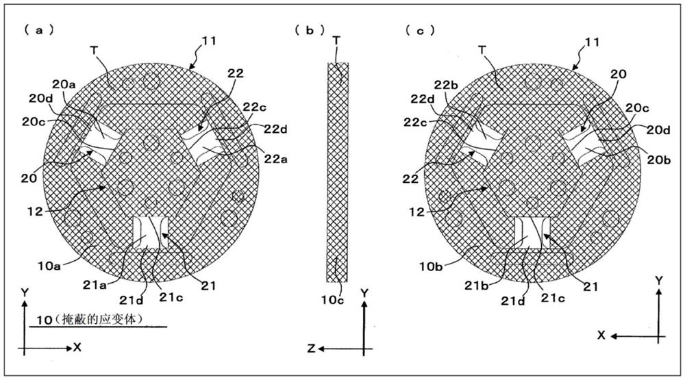 应变体、应变体的制造方法、以及物理量测量传感器