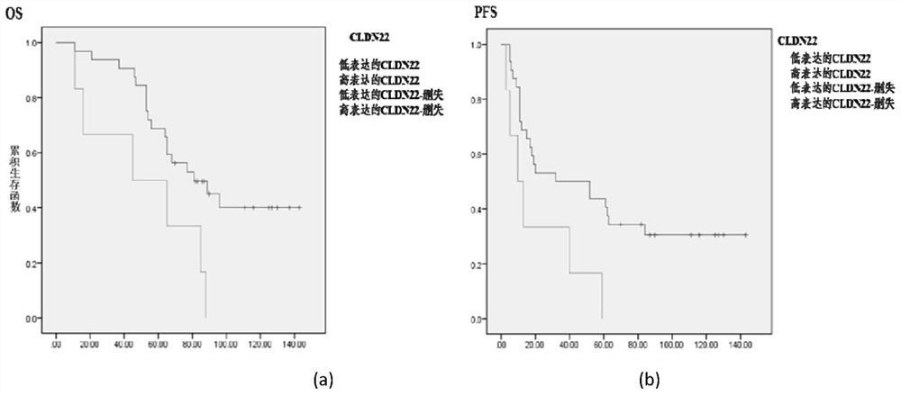 一种卵巢癌的预后诊断标志物Claudin22及其应用