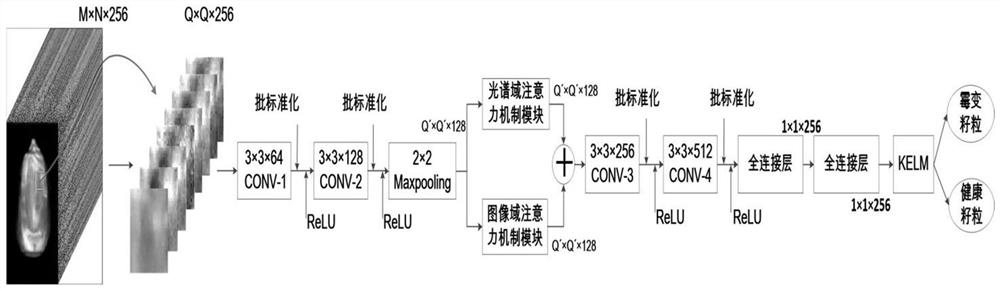 一种粮食霉变粒识别神经网络和识别方法