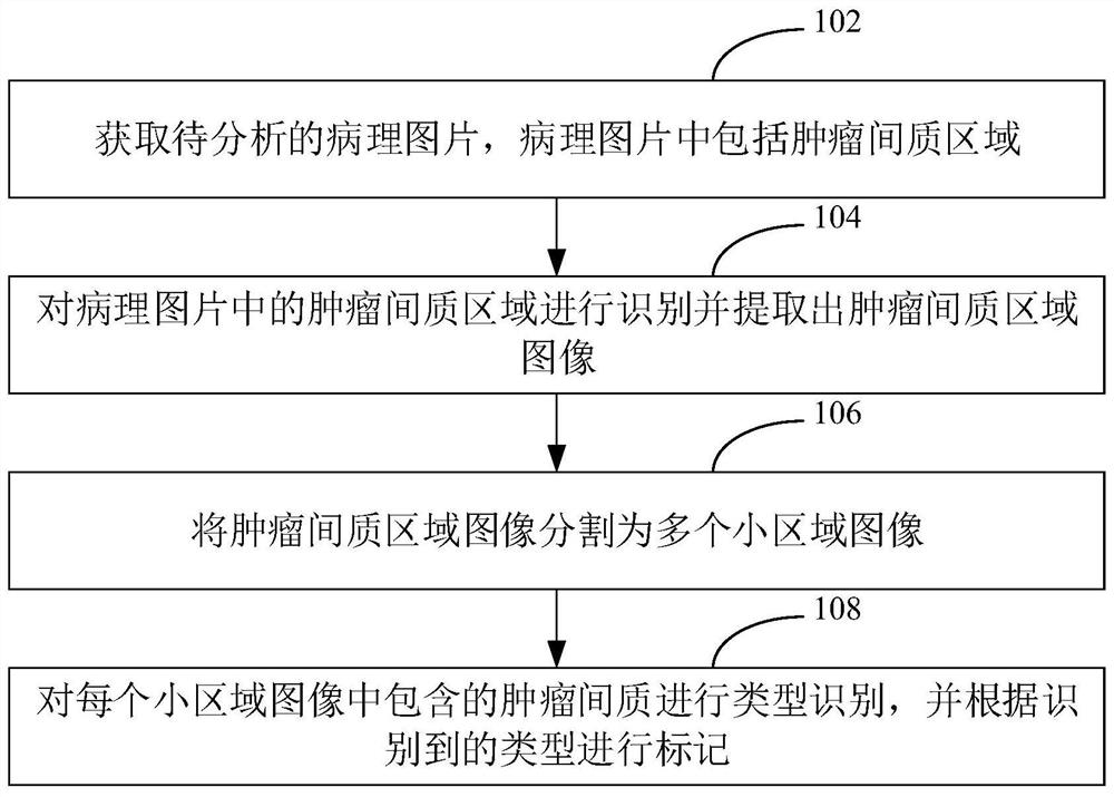 病理图片中肿瘤间质分类方法、装置、计算机设备及存储介质