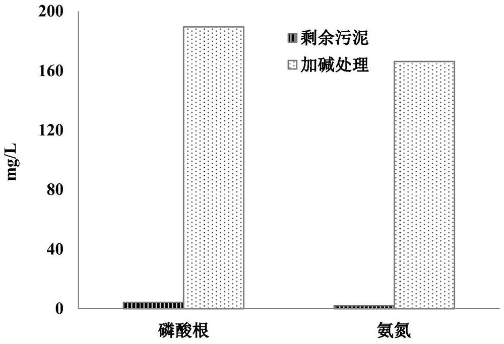 强化剩余污泥释放氮磷及生物炭诱导制备鸟粪石的方法