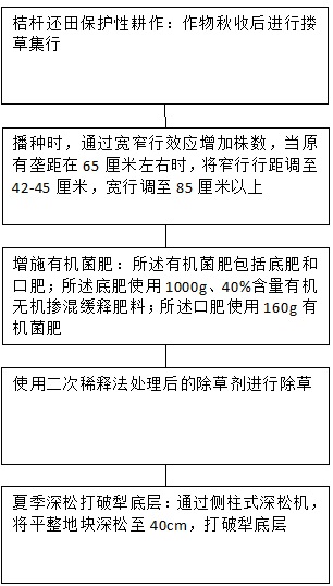 一种用于东北黑土区的玉米栽培种植方法