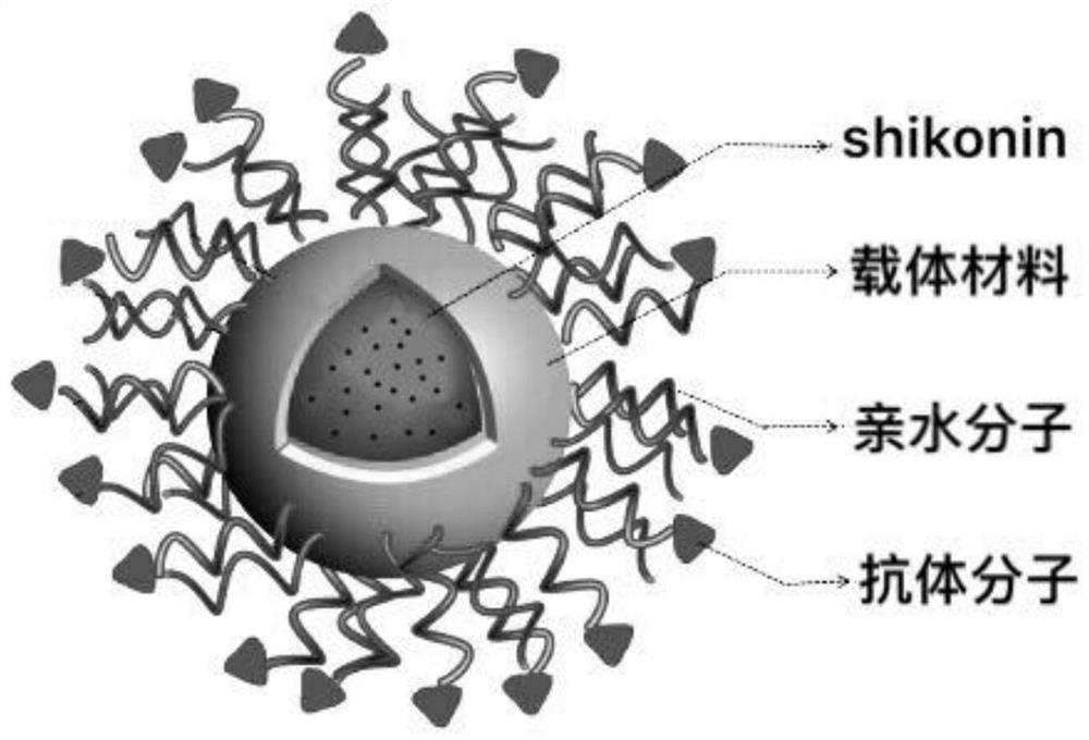 一种主动靶向抗肿瘤纳米胶束及其制备方法和应用