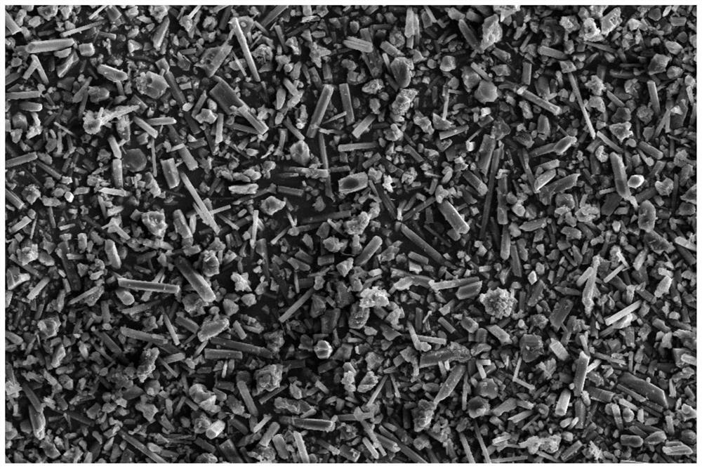 氮化硅镁粉体及其制备方法、陶瓷材料及导热基板