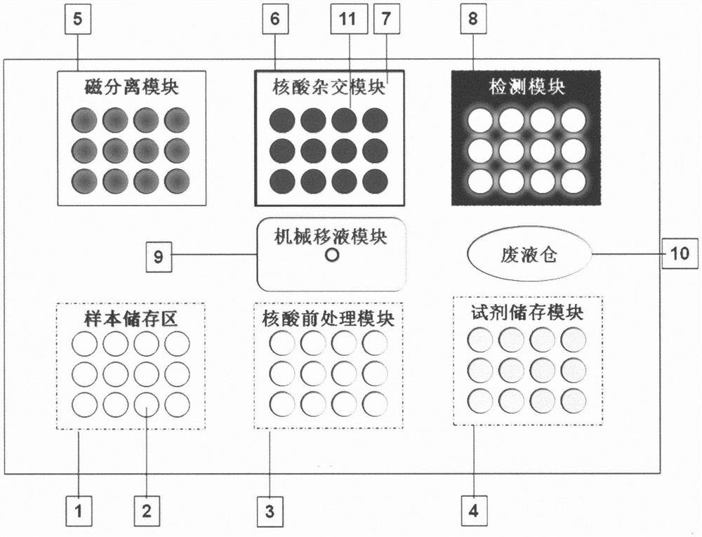 一种基于磁分离的全自动核酸提取杂交捕获检测装置