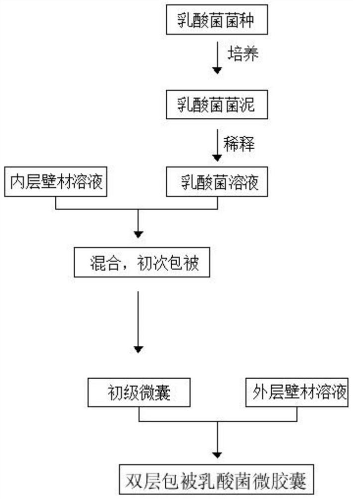 一种双层包被乳酸菌微胶囊的制备方法