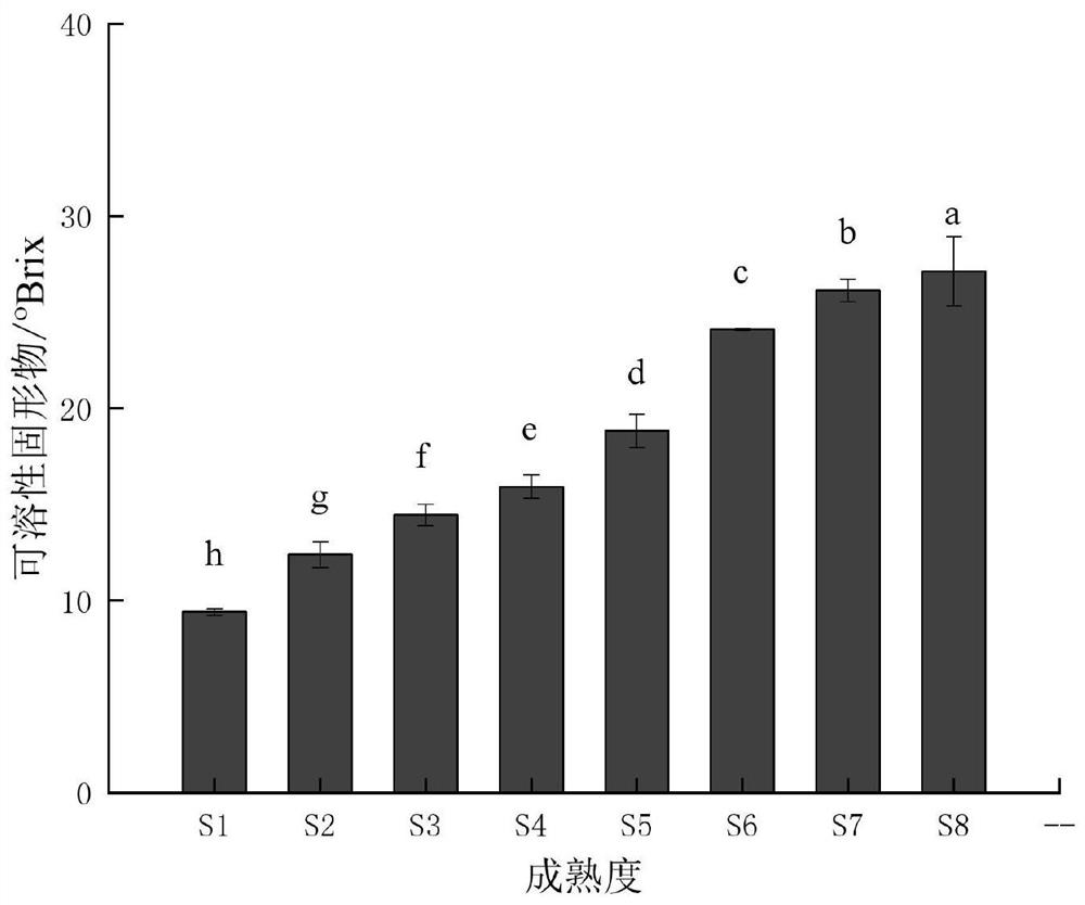 一种无损准确判断采后桑葚成熟度的方法