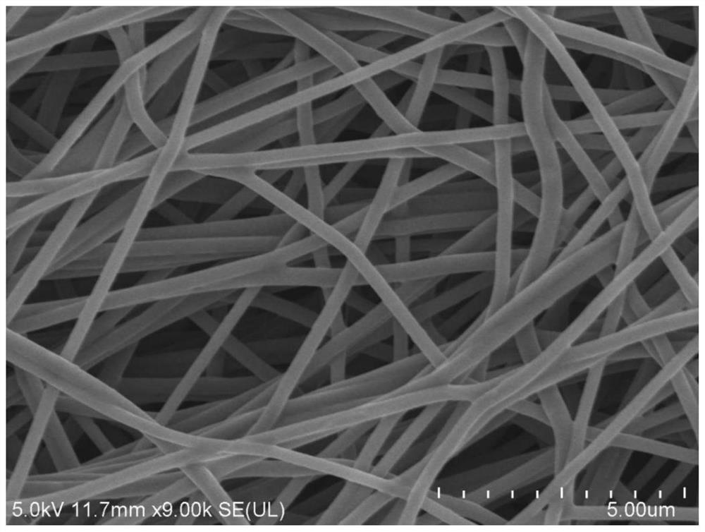 一种磷化钼/碳纤维复合材料的制备方法及应用