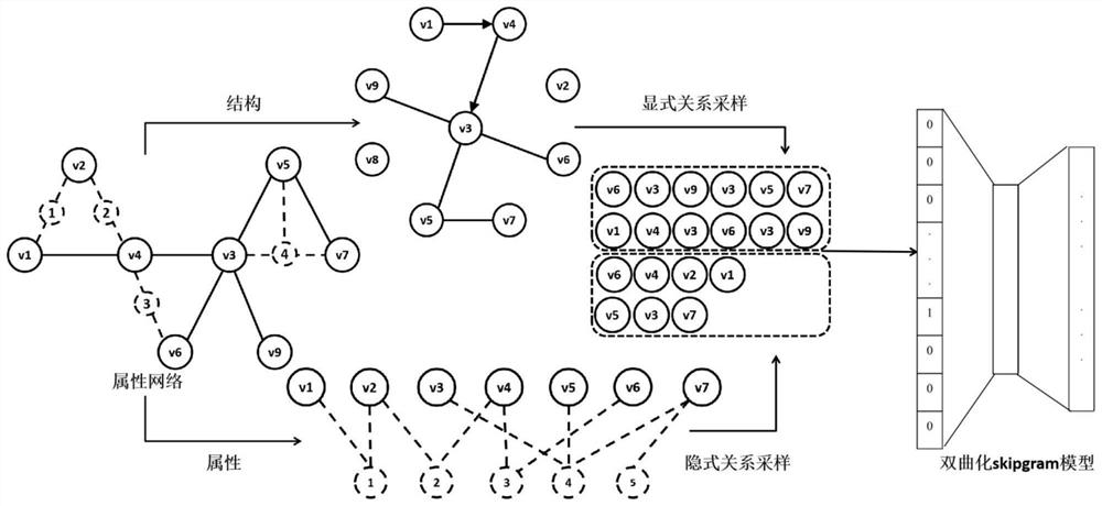 基于自适应随机游走的属性网络表示学习方法