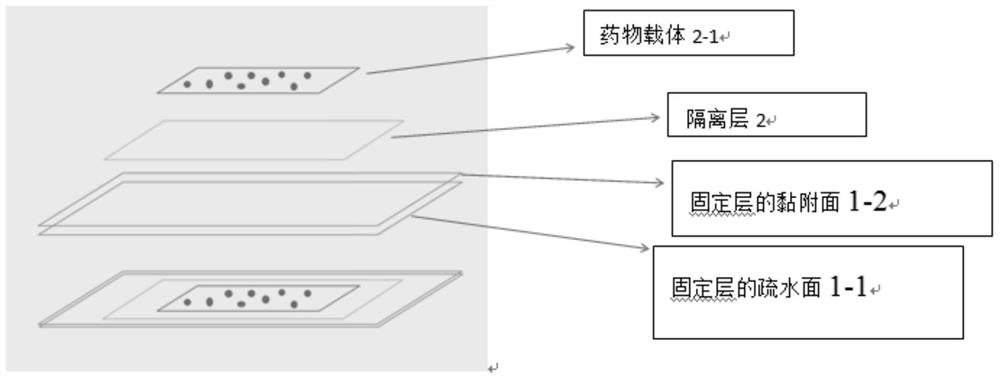 一种普适性口腔绷带及其制备方法