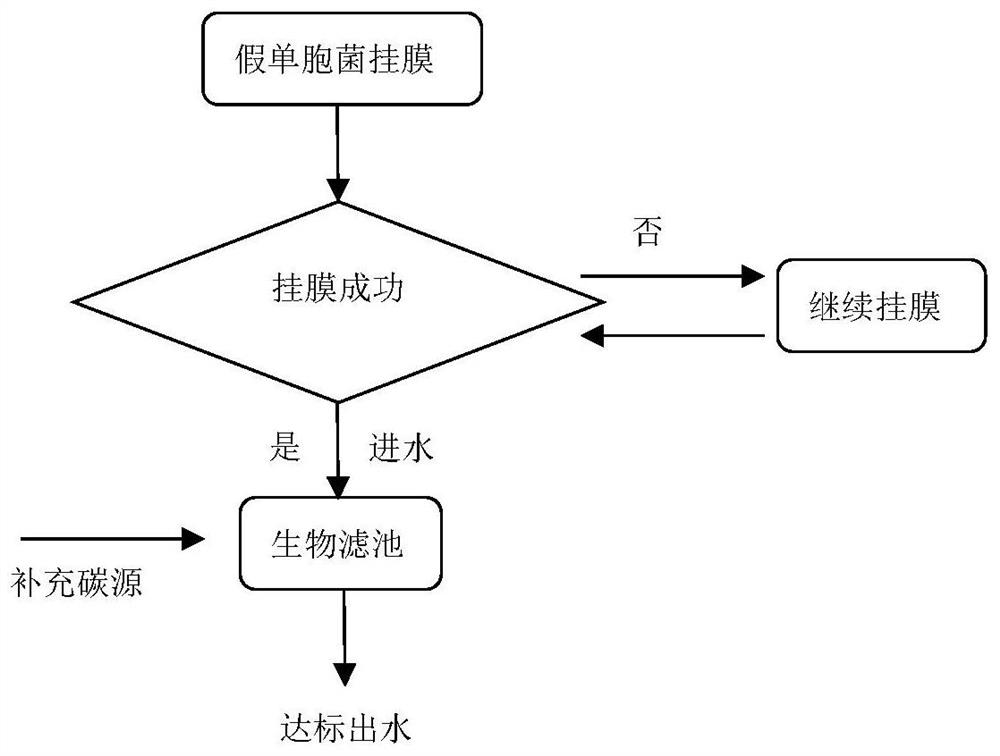 一种基于假单胞菌的污水脱氮工艺