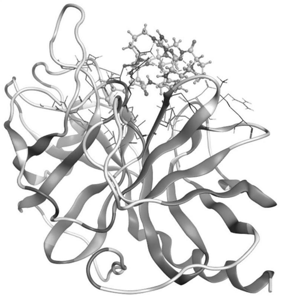一种靶向PRSS3的多肽类抑制剂的设计方法、多肽类抑制剂及
其制备方法
