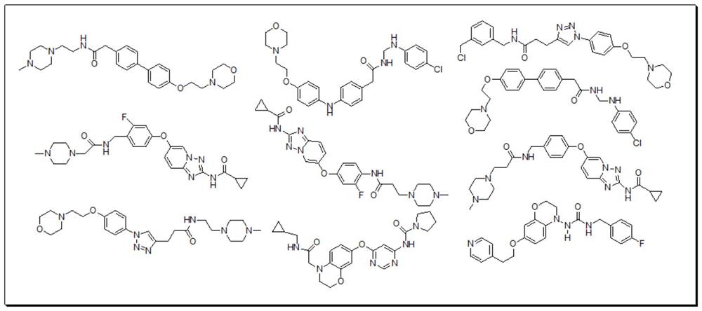 VEGFR-2抑制剂的筛选方法、VEGFR-2抑制剂和抗肿瘤药物