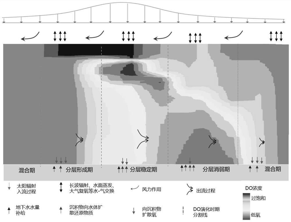 一种热分层水库溶解氧预测方法