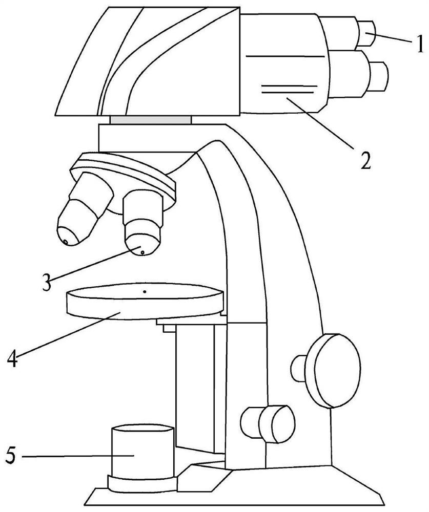 一种平视式光学显微镜