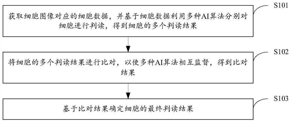 细胞判读方法及系统