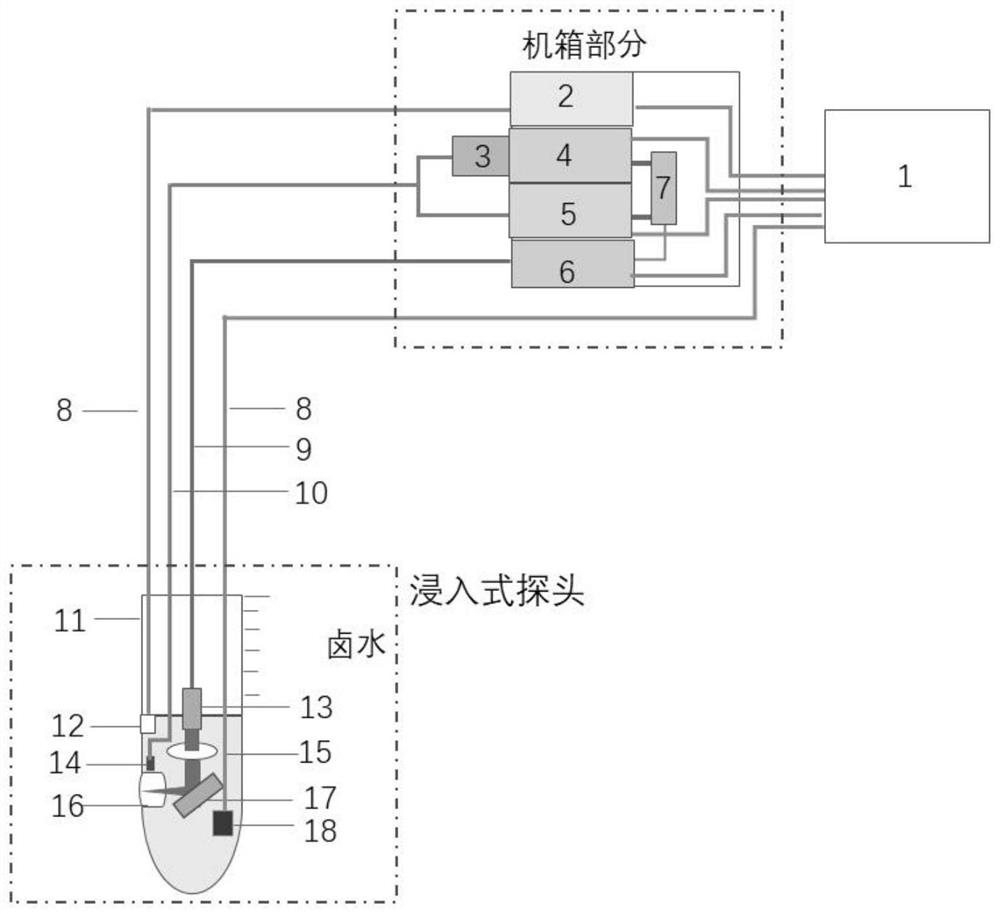 一种LIBS-Raman浸入式卤水元素探测仪