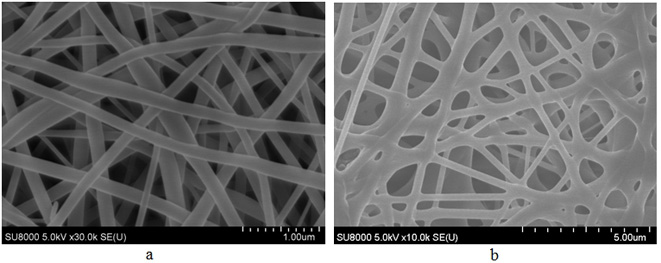 利用电纺技术将漆酚制成具有纳米纤维结构薄膜的方法