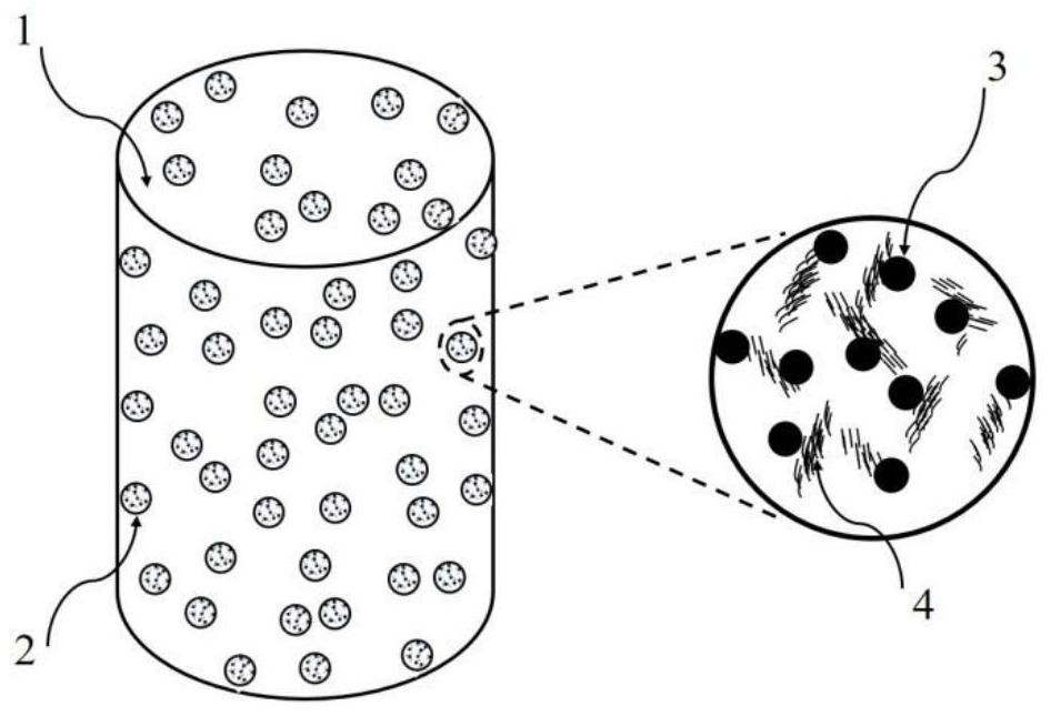 一种注射型镁基碳纳米管复合微球活化磷酸钙生物骨粘合剂及其制备方法和应用