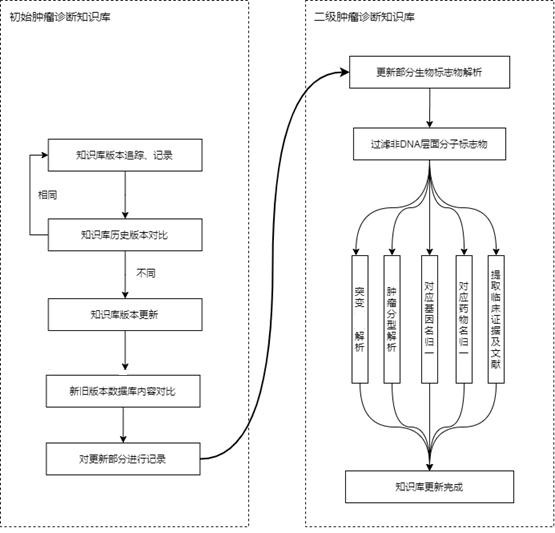 一种二级肿瘤诊断知识库及肿瘤突变解析系统