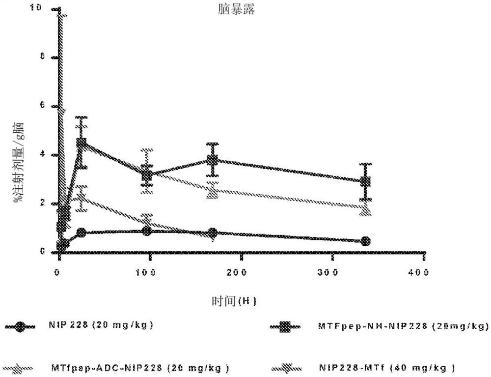 双功能血脑疗法