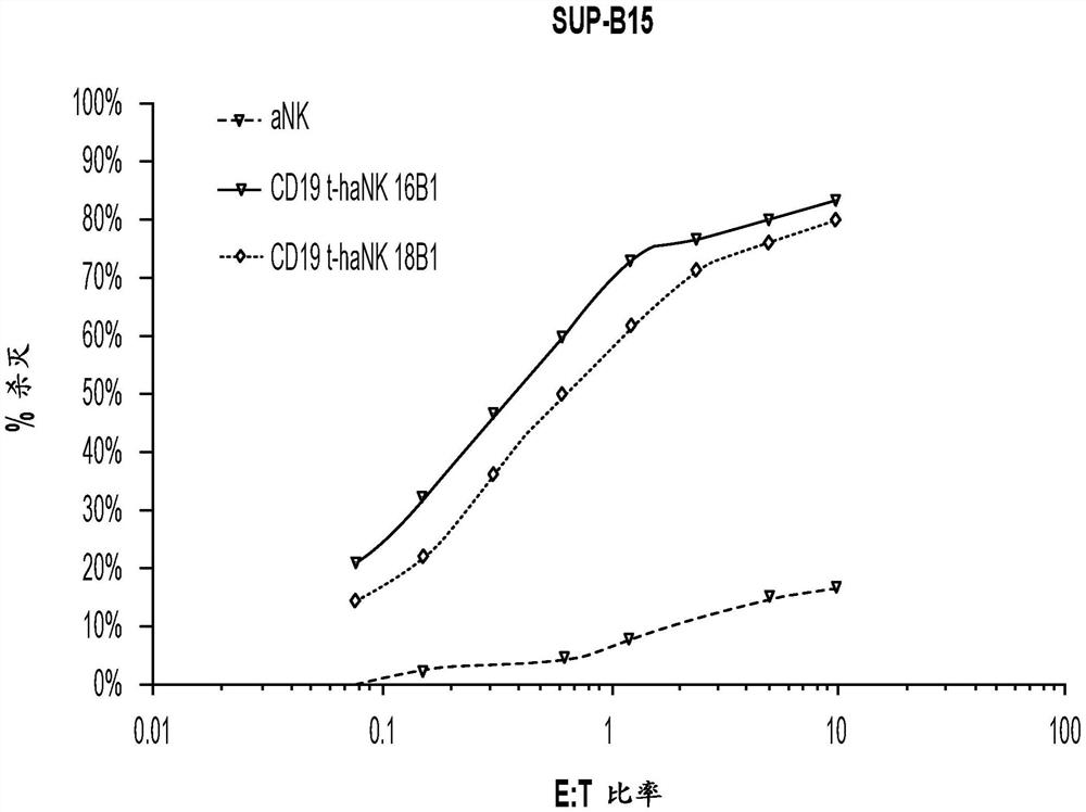 表达CD19-CAR的NK细胞消除CD19阳性淋巴系统恶性肿瘤