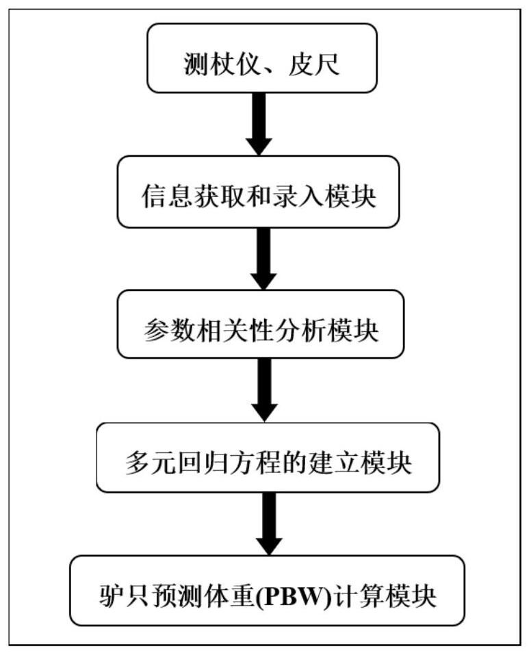 一种用于驴只体重预测的系统及方法