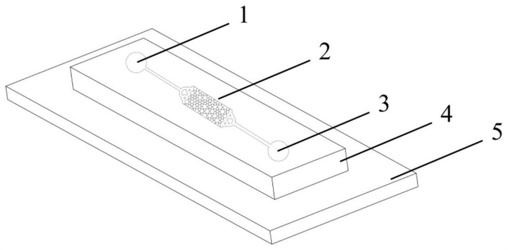 2.5D孔隙结构微流体芯片及其制作和使用方法