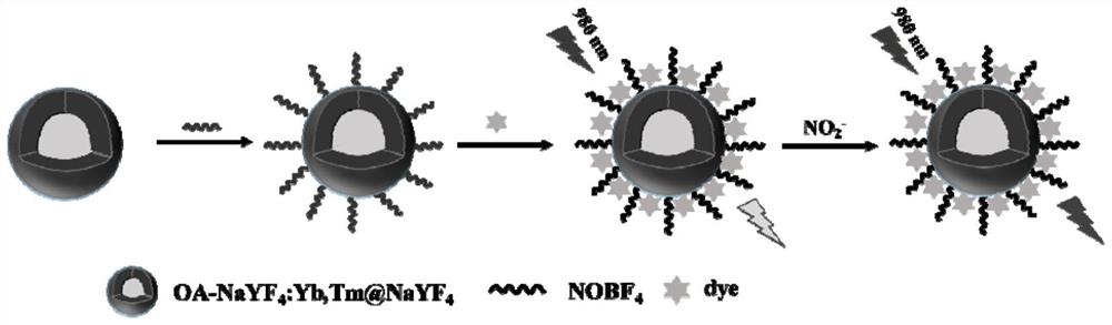 Dye-UCNPs纳米探针及其制备方法以及亚硝酸盐的检测方法