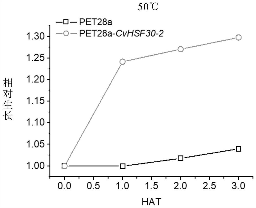 CvHSF30-2基因及编码的蛋白提高植物或细胞高温耐性的应用