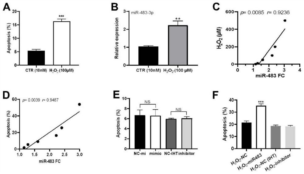 基因内microRNA miR-483-3p在诱导巨噬细胞凋亡中的应用