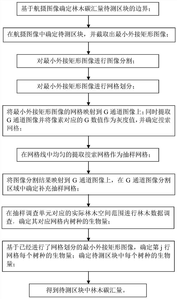 一种林木碳汇量的测定方法、系统及装置