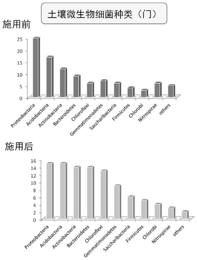 复合微生物菌剂、其制备方法及土壤生物多样性的改善方法