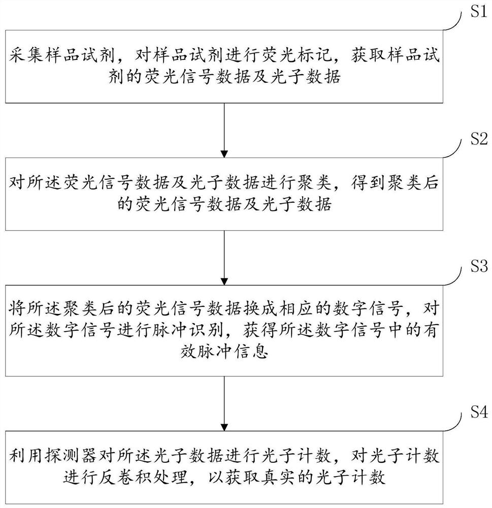 一种全自动荧光免疫分析数据处理方法、系统及装置